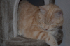 DSC_0802-Kopie